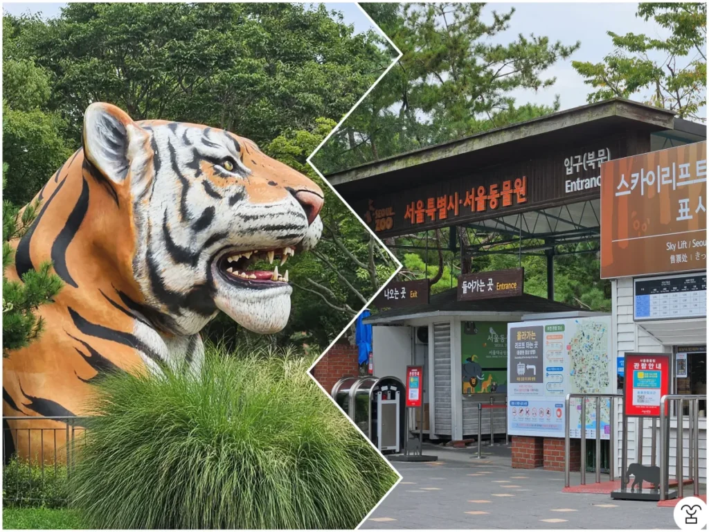 Patung harimau di dekat bagian dalam Gerbang Utara, Kebun Binatang Seoul Grand Park