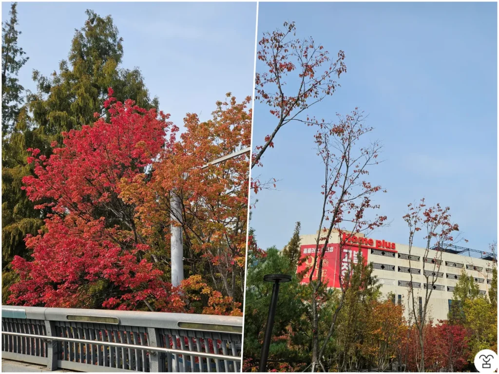 Foto sebelah kiri diambil dari jembatan penyeberangan menuju Taman Danau Ilsan (Goyang).
Foto sebelah kanan adalah Homeplus Cabang Ilsan yang akan segera ditutup.