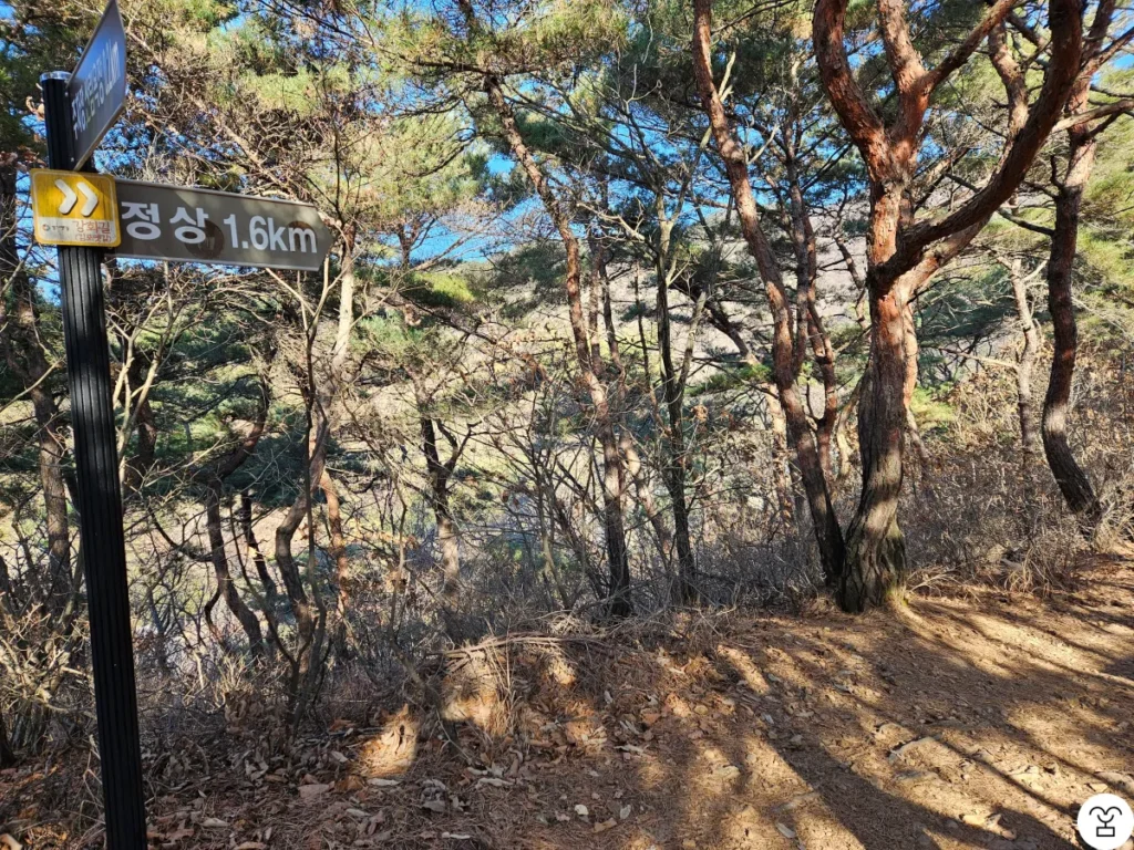 Setelah melewati bagian pertama tangga kayu, terlihat papan penunjuk yang mengatakan jarak ke puncak tinggal 1,6 kilometer.