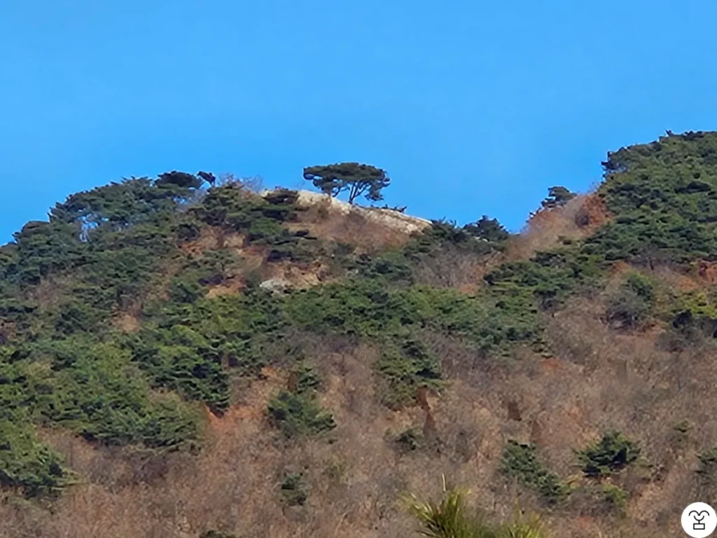 Ada tempat yang terlihat seperti puncak, tetapi itu bukan puncak sebenarnya.