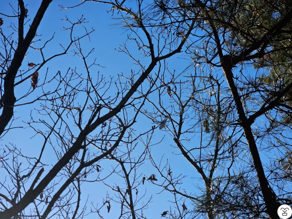 Sebuah helikopter melakukan putaran. Alasannya tidak diketahui.
Coba cari helikopternya.