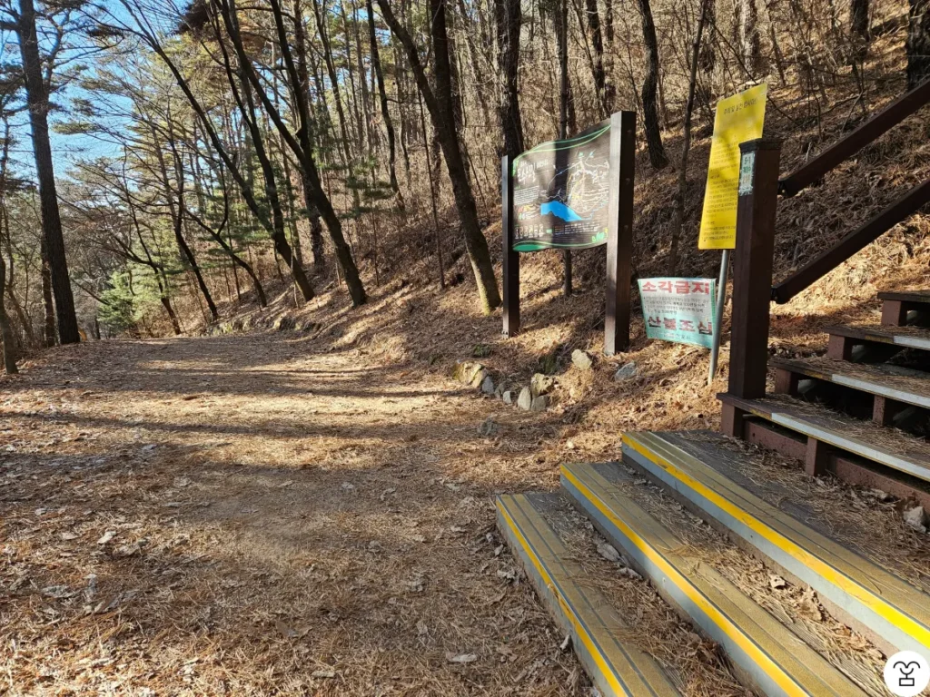 Awal Rute 1 dengan tangga kayu