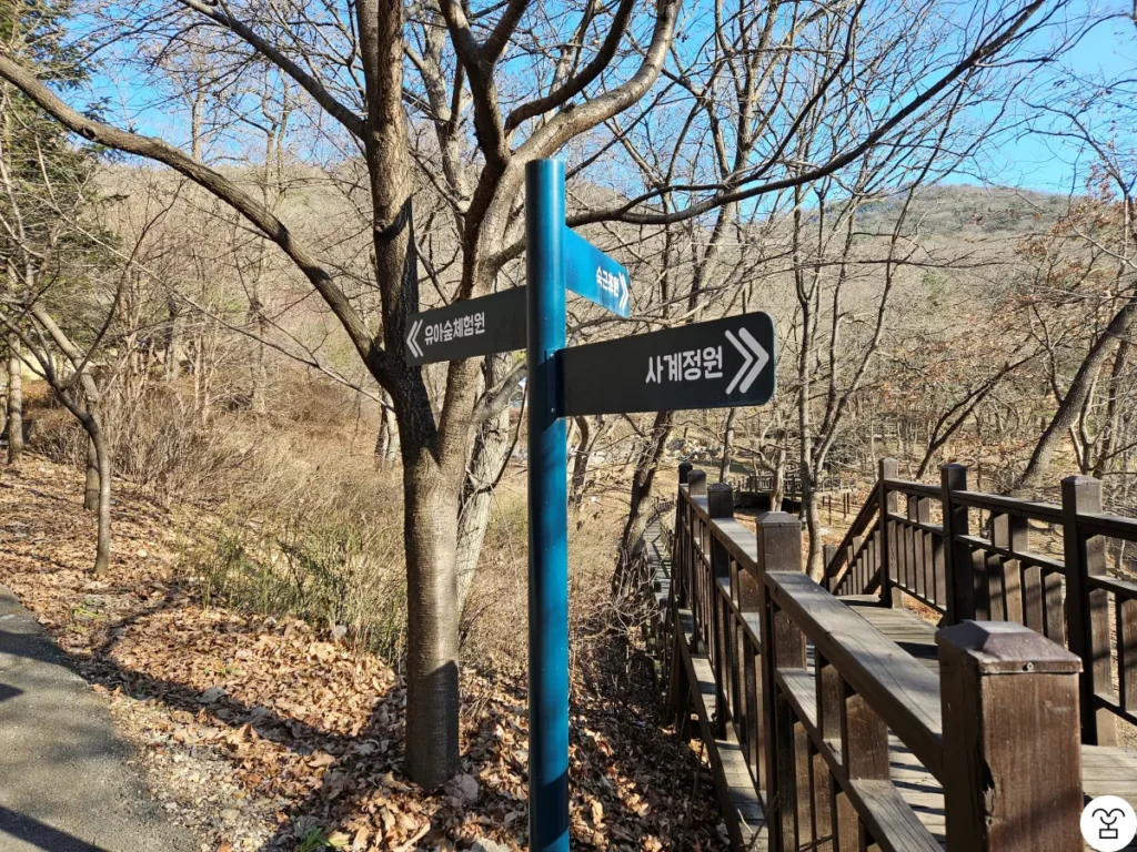 Arahkan langkah ke arah Area Hutan Pengalaman Anak.