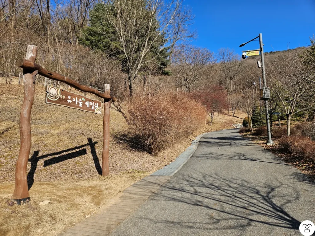 Area hutan anak ada di sebelah kiri. Lewati saja dan terus berjalan lurus!
