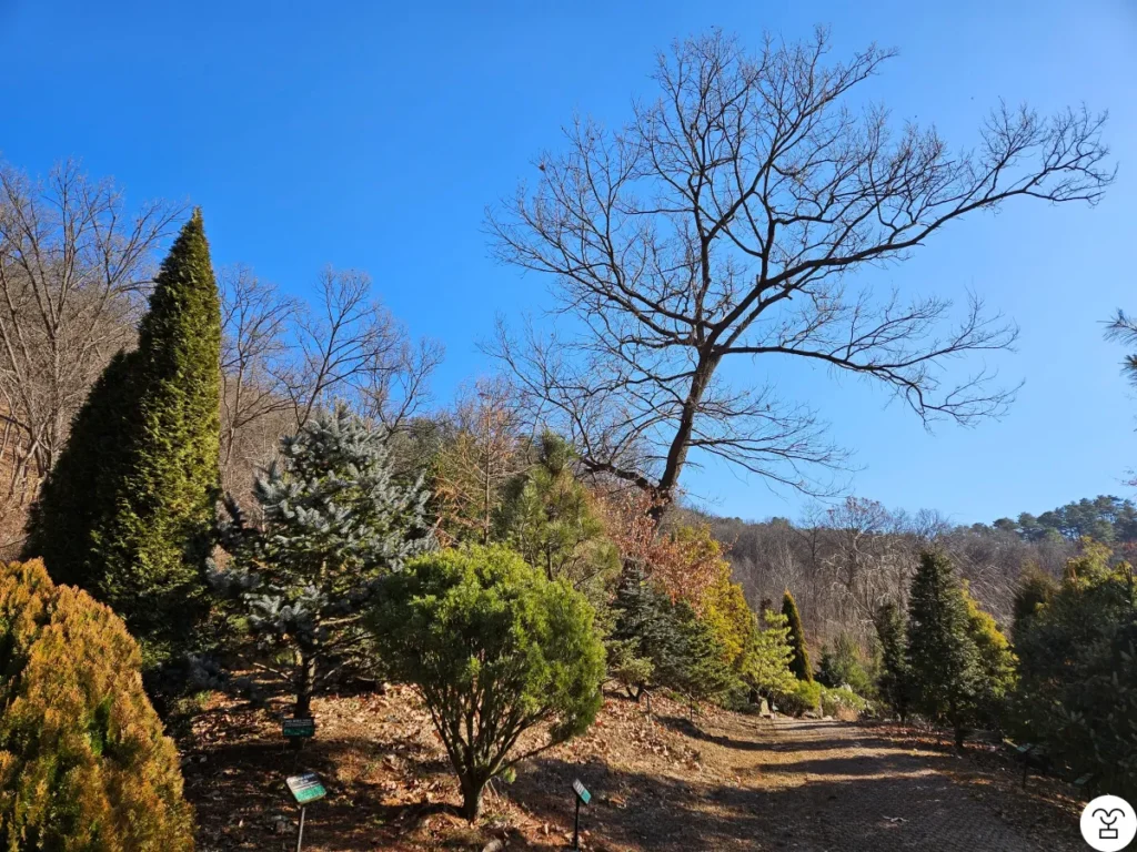 Terlihat area pepohonan. Jangan menuju ke arah ini.