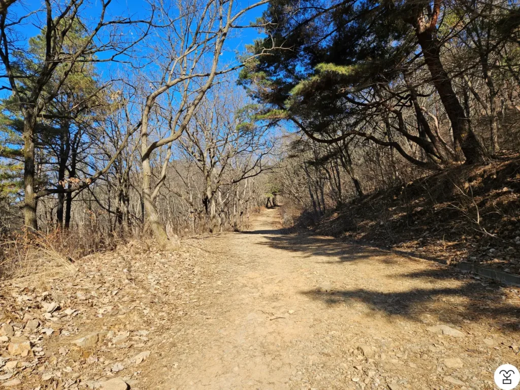 Jika jalan ini terlihat, terus saja berjalan lurus.