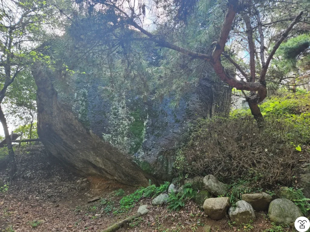 Dari sini, tempat dengan batu besar ini, apakah tangga yang tersisa sampai ke puncak sekitar 20 anak tangga?